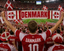 Denmark Football Stadium Supporter Scarf