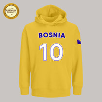 Bosnia Soccer Fan Hoodie – 2026 Football Sweatshirt
