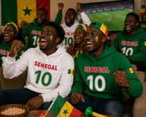 Senegal Soccer Fan Hoodie – 2026 Football Sweatshirt