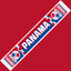 Panama Football Stadium Supporter Scarf
