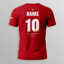 Spain Champion Unisex Premium Quality T-shirt, Sports Lover Gift